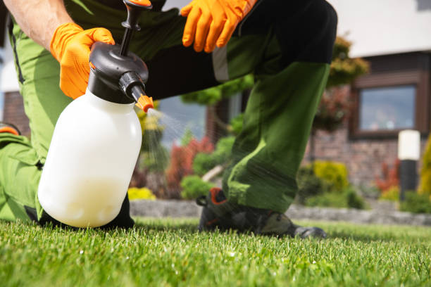 Best Local Pest Control Services  in Jones, OK